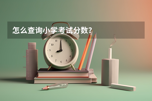 怎么查询小学考试分数？