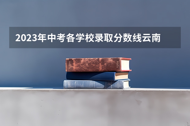 2023年中考各学校录取分数线云南（昆明各高中学校录取分数线）